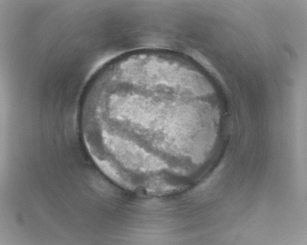 X0000115391222200911241240