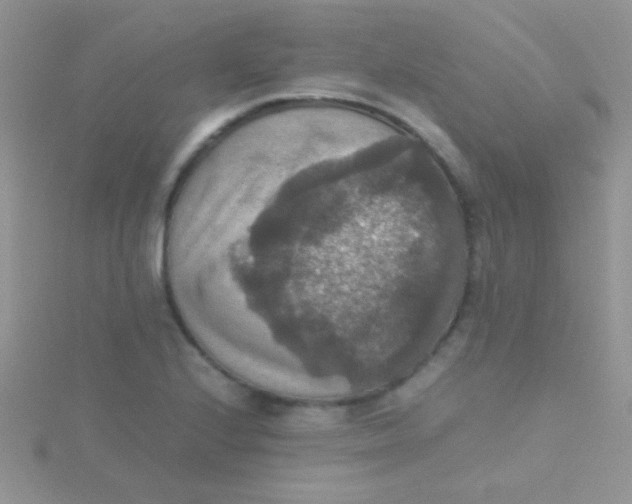 X0000115391224200911241240