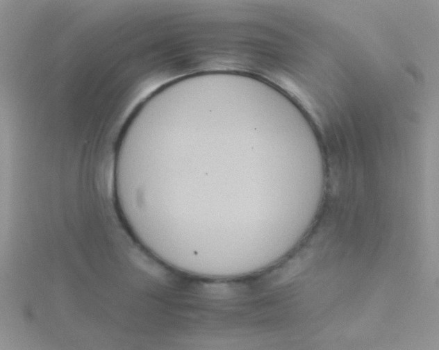 X0000115391227200911241240