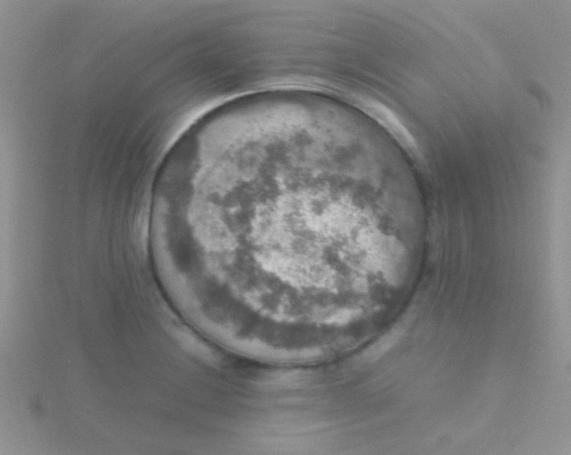 X0000115391228200911241240