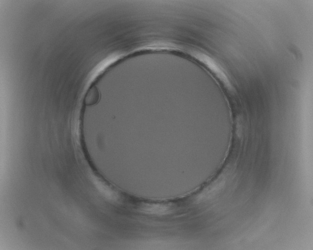 X0000115391229200911241240