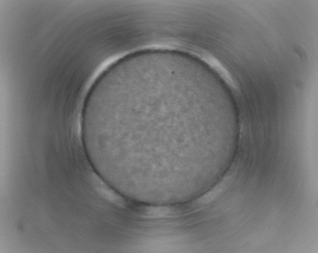 X0000115391232200911241240