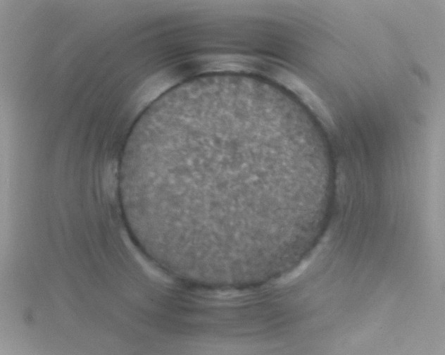 X0000115391233200911241240