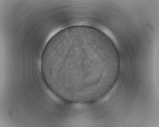 X0000115391234200911241240