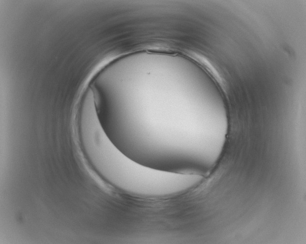 X0000115391235200911241240