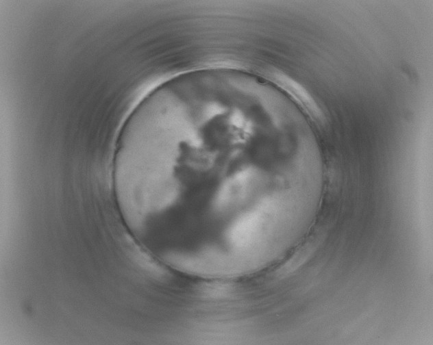 X0000115391236200911241240