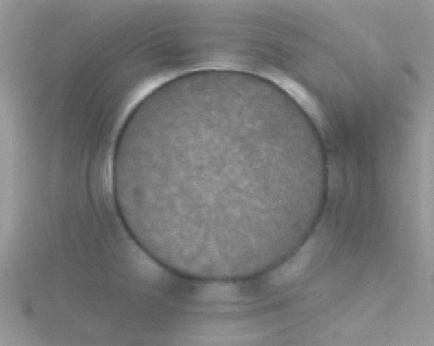 X0000115391238200911241240