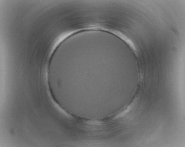 X0000115391239200911241240