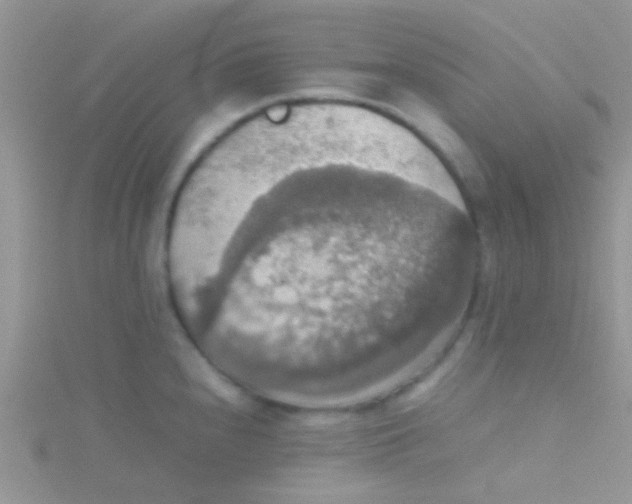 X0000115391240200911241240