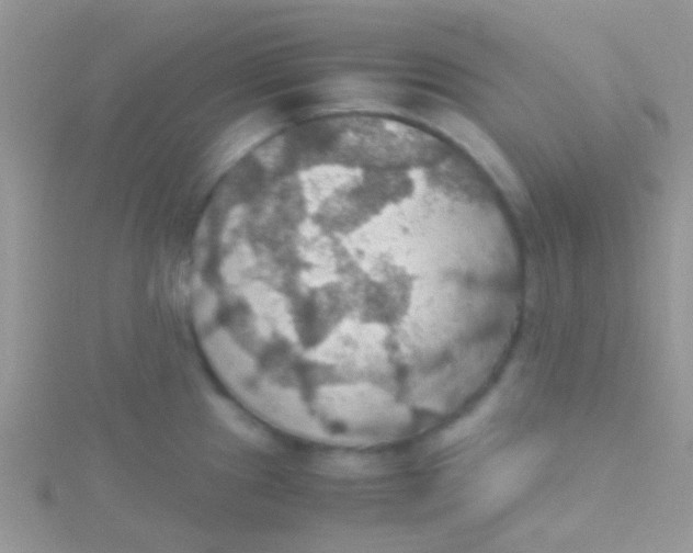 X0000115391241200911241240