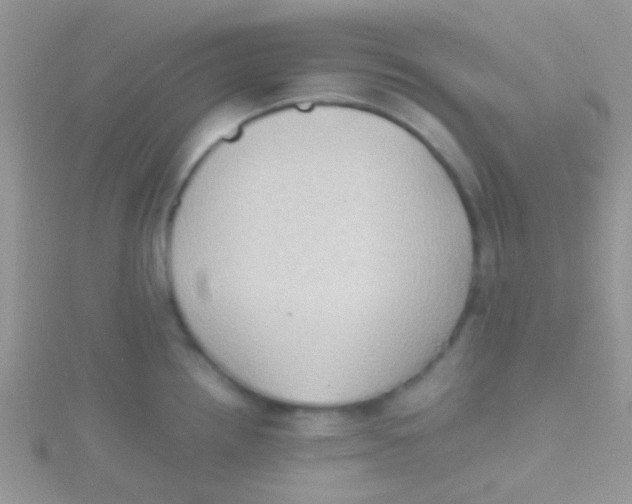 X0000115391242200911241240