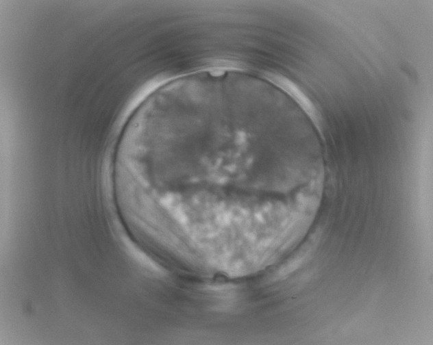 X0000115391243200911241240