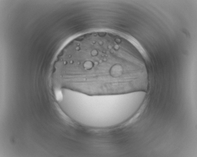 X0000115391244200911241240