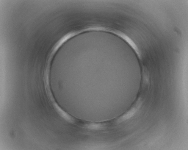 X0000115391245200911241240