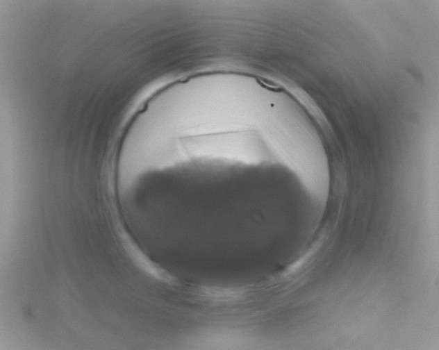 X0000115391246200911241240