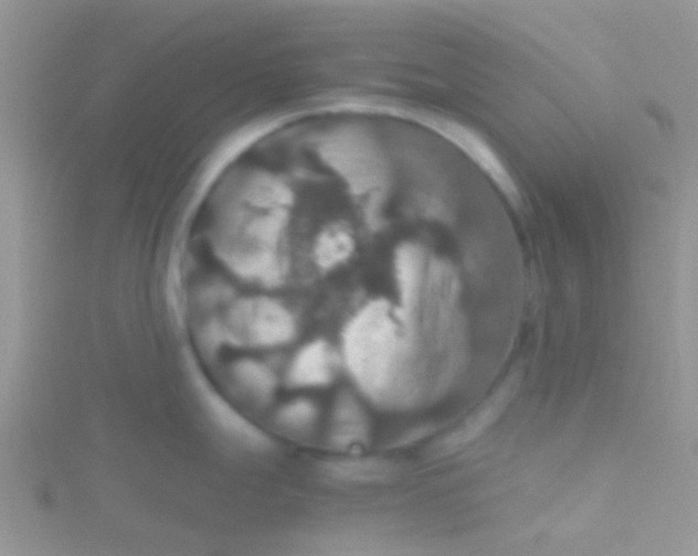 X0000115391247200911241240