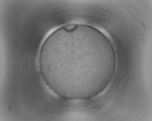 X0000115391248200911241240