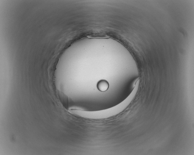 X0000115391249200911241239