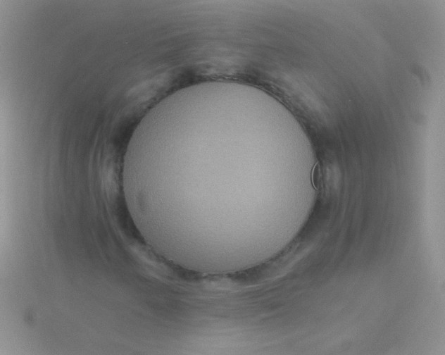 X0000115391250200911241239