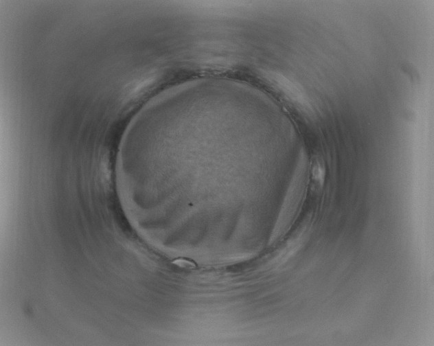 X0000115391252200911241239