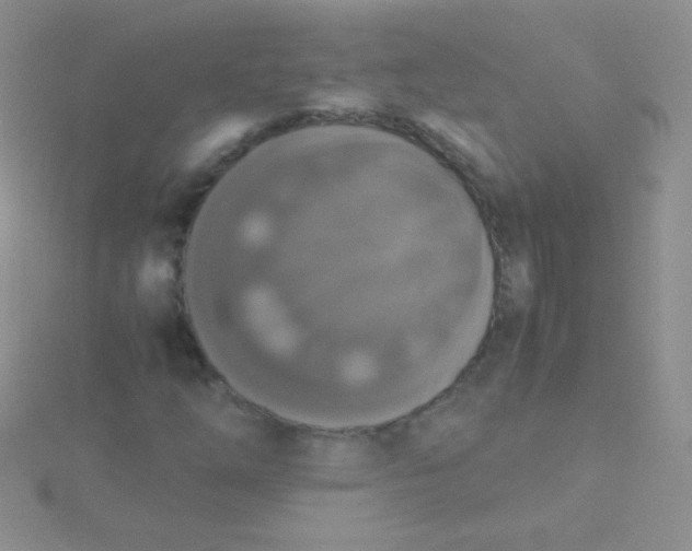 X0000115391254200911241239