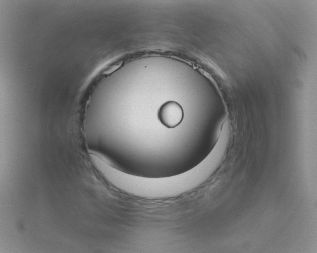 X0000115391256200911241239