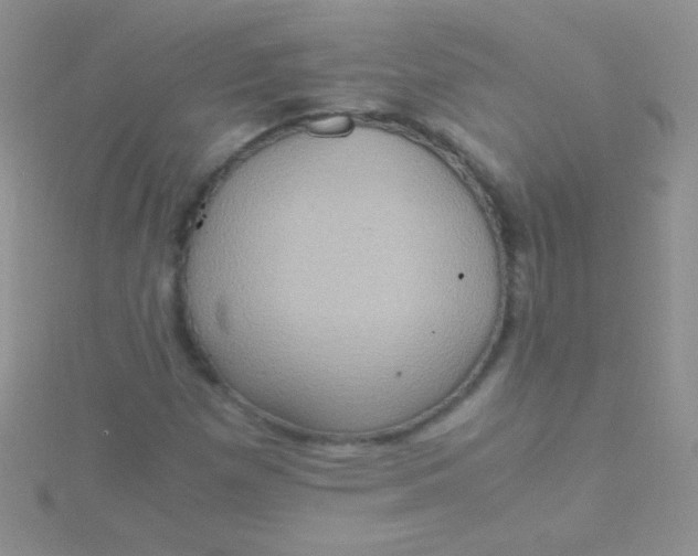 X0000115391257200911241239