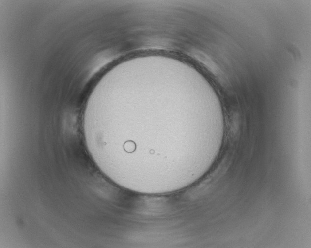 X0000115391258200911241239