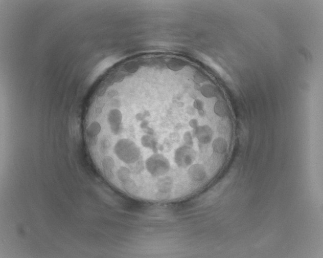 X0000115391259200911241239