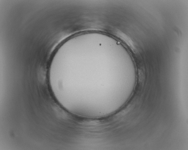 X0000115391260200911241239