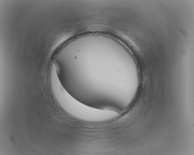 X0000115391261200911241239