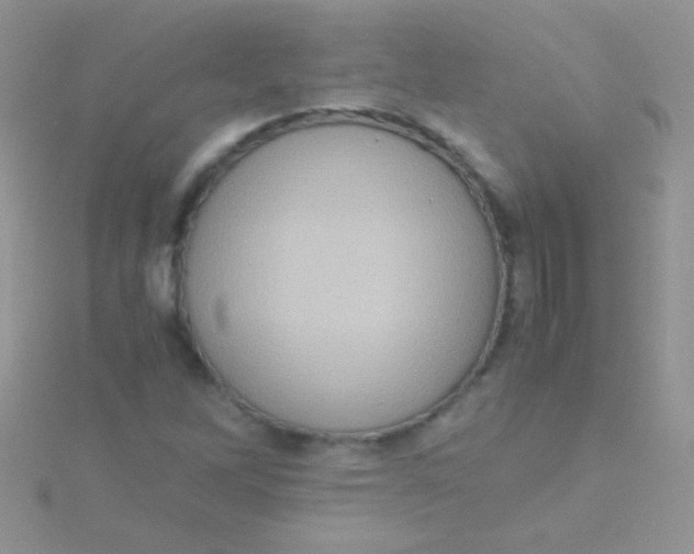 X0000115391262200911241239