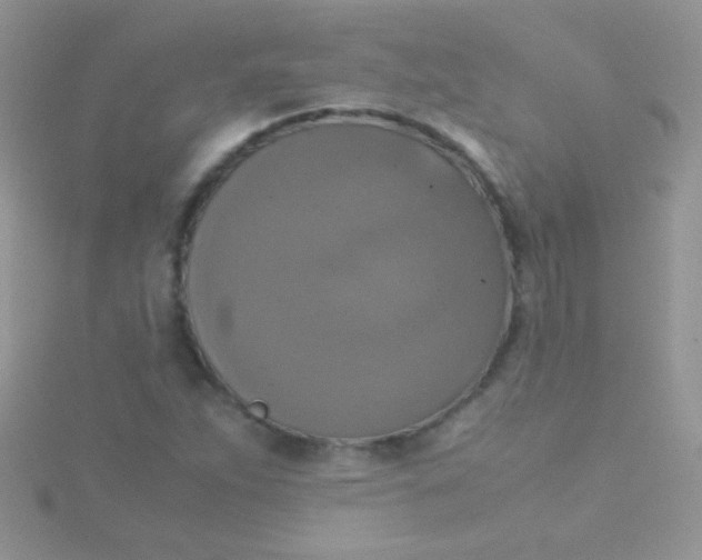 X0000115391263200911241239