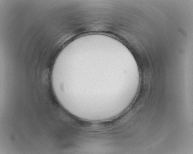 X0000115391265200911241239