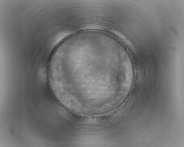 X0000115391266200911241239