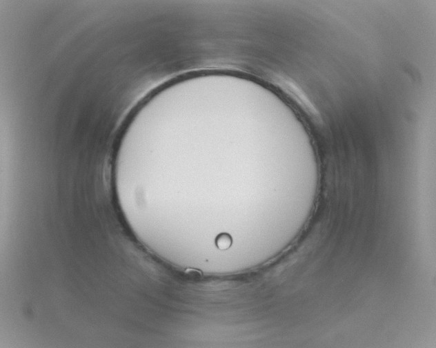 X0000115391268200911241239