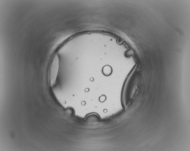 X0000115391269200911241239