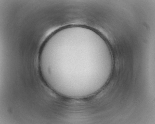 X0000115391270200911241239