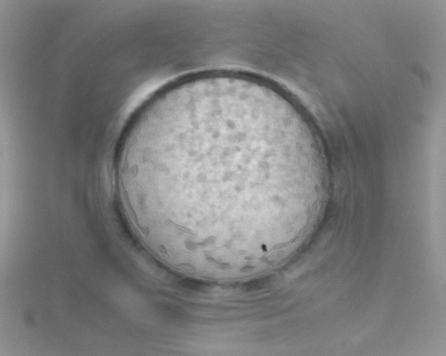 X0000115391271200911241239