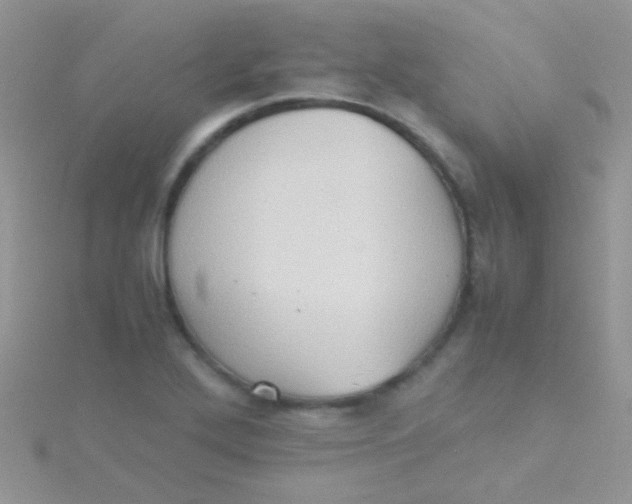 X0000115391272200911241239