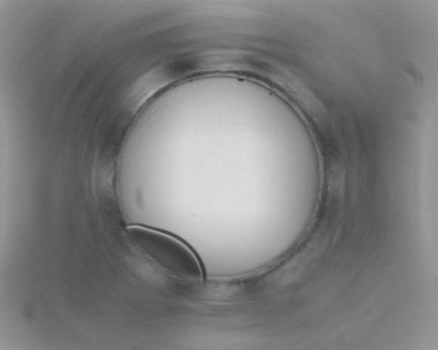 X0000115391273200911241239