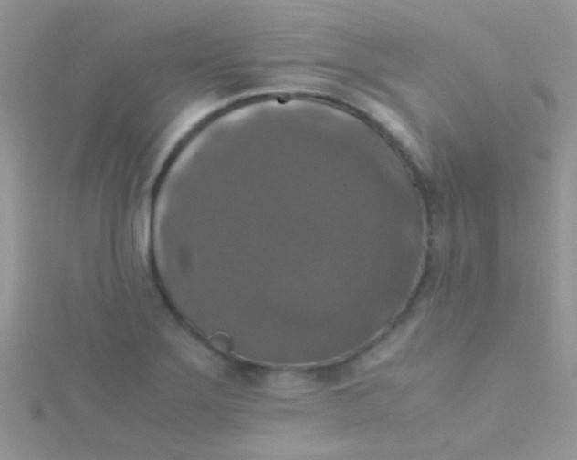 X0000115391275200911241239