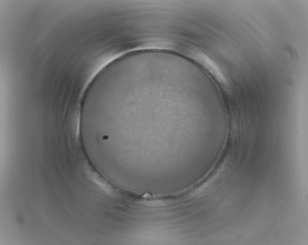 X0000115391276200911241239