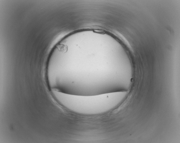 X0000115391277200911241239