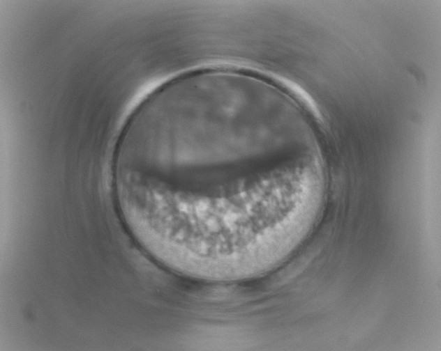 X0000115391279200911241239