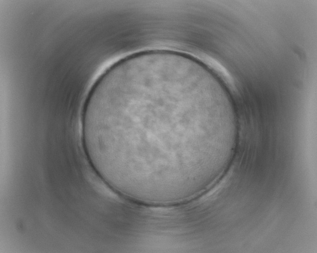 X0000115391280200911241239