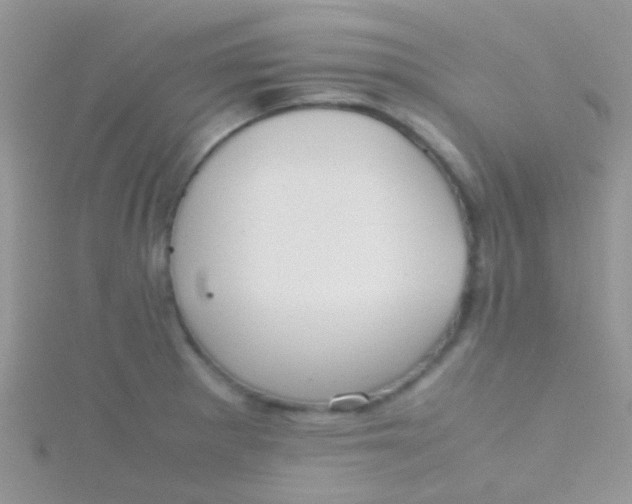 X0000115391281200911241239