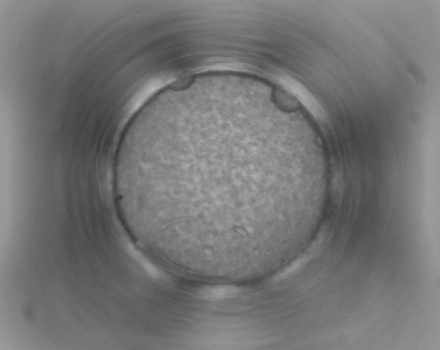 X0000115391282200911241239