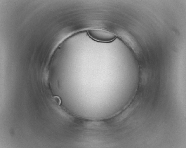 X0000115391284200911241239