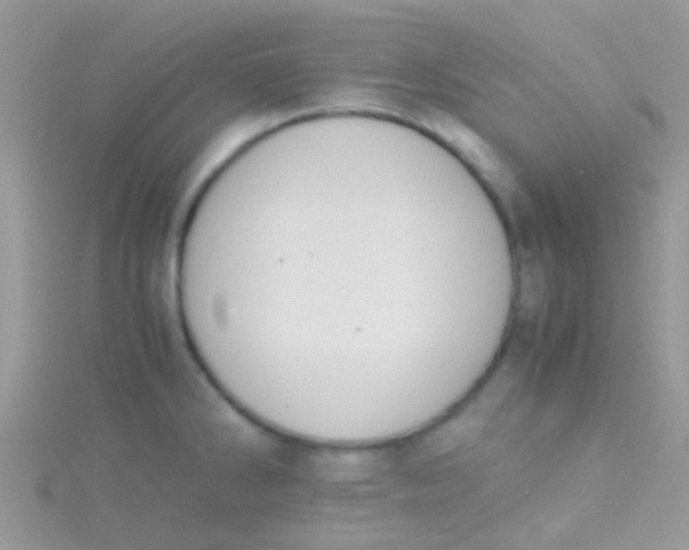 X0000115391286200911241239